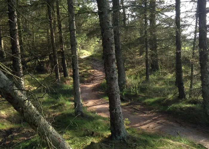 Idraetscenter Jammerbugt Fjerritslev