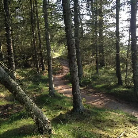 Idraetscenter Jammerbugt