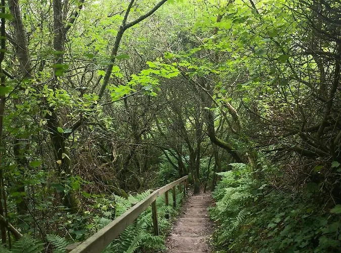 Idraetscenter Jammerbugt Hostel *