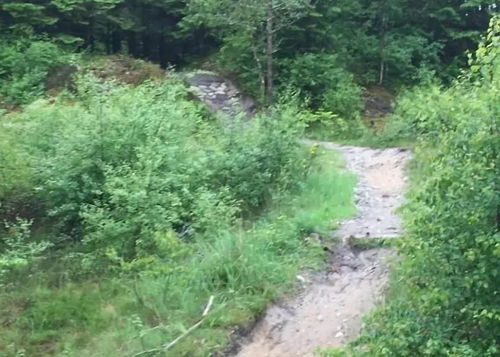 Idraetscenter Jammerbugt * Fjerritslev