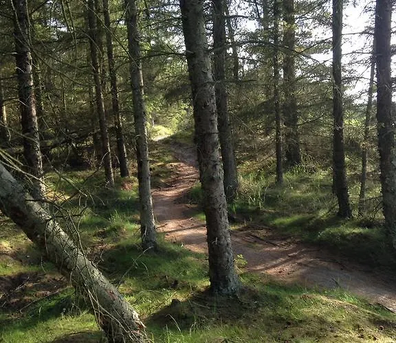 Idraetscenter Jammerbugt